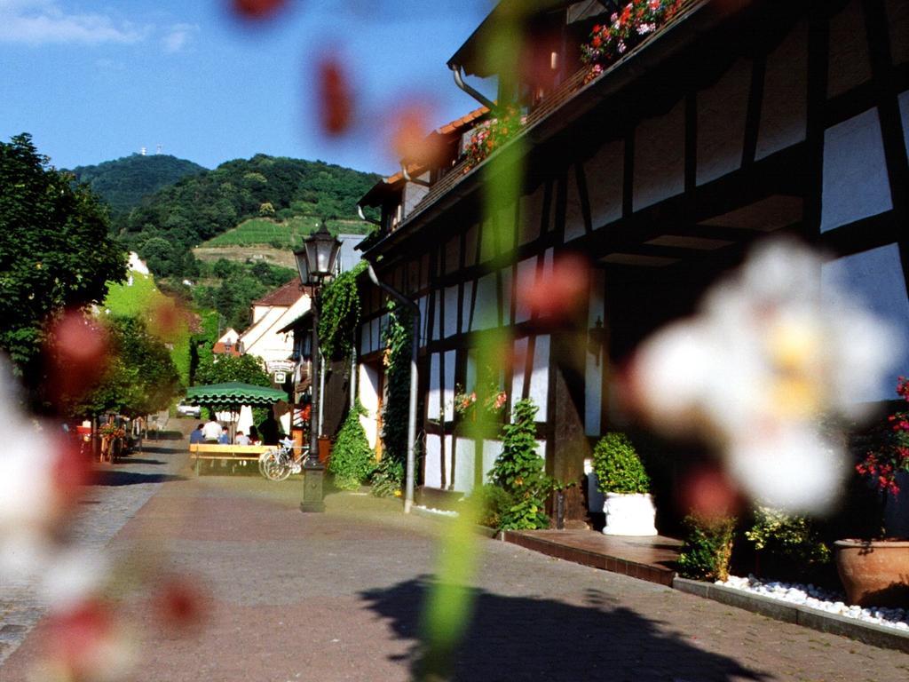 Hotel Garni Zur Bergstrasse Zwingenberg  Bagian luar foto